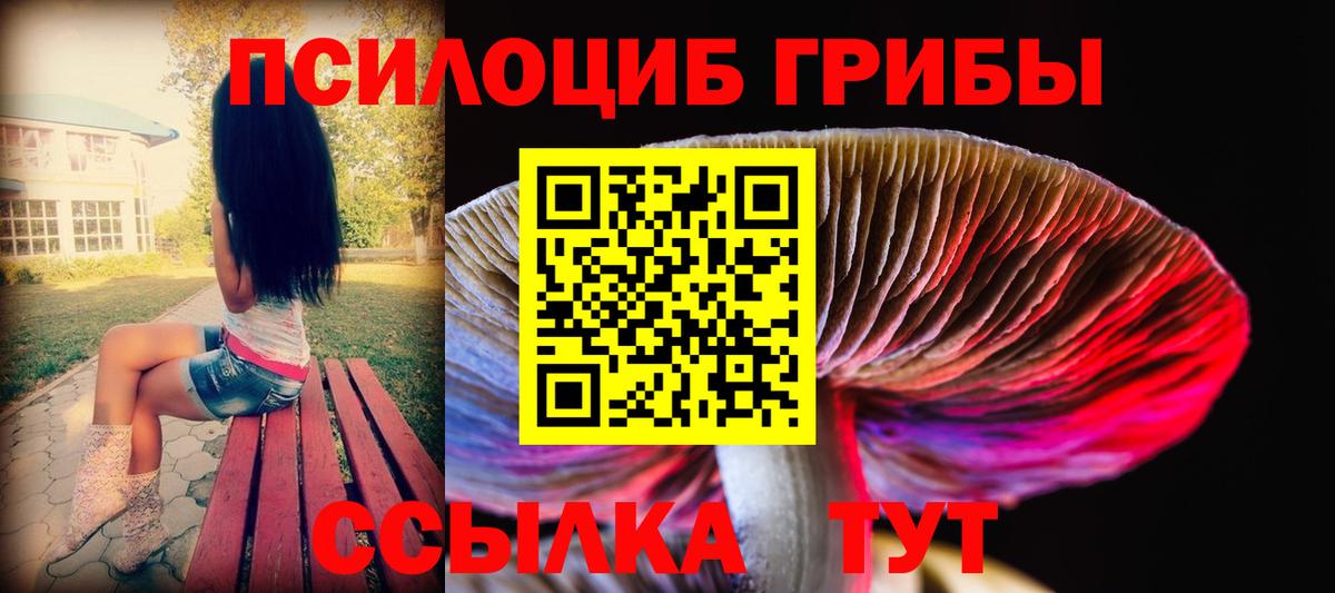 Губаха  Псилоцибиновые грибы Magic Shrooms  купить  цена  Вход с VPN 